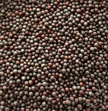 Whole Red Chilli